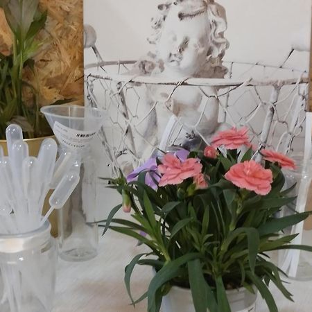 Le Laboratoire Shabby Chic De La Parfumerie Du Manoir Chavagne Exterior foto